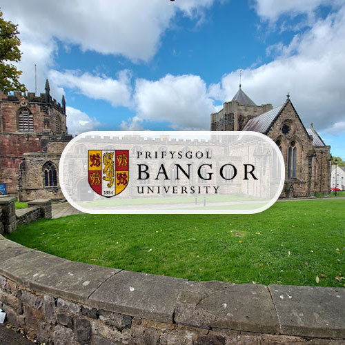 Prifysgol Bangor University